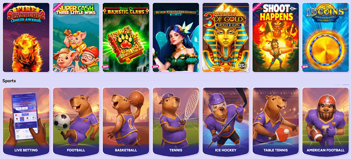 Spinbara Casino Games, Live Game Shows, Jackpots 